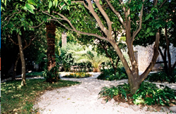 hotel Supetar